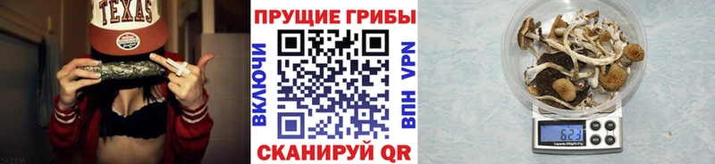 мега как зайти Солнечногорск Галлюциногенные грибы ЛСД что такое